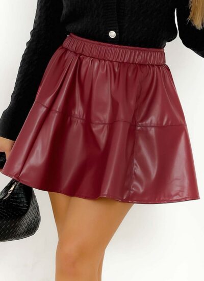 Sarina Dark Red Mini Skirt