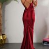 Elmi Dark Red Maxi Dress